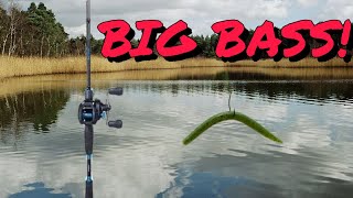 Will Big Bass Bite This Wacky Worm?