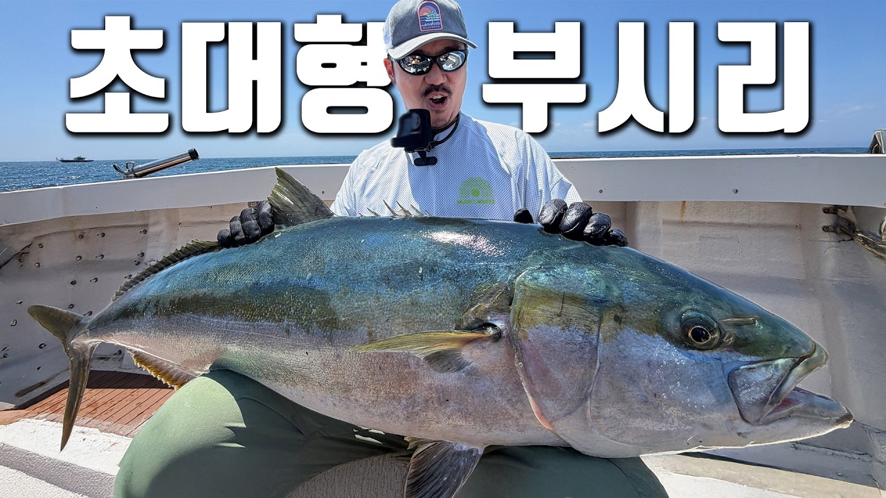 성인 남자가 질질 끌려 다니는 초대물 부시리를 잡아서 먹어보자!!!