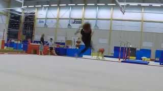 Tricking Training 6 - 2015