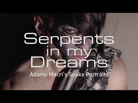 Serpents in my Dreams: Adamo Macri’s Snake Portraits