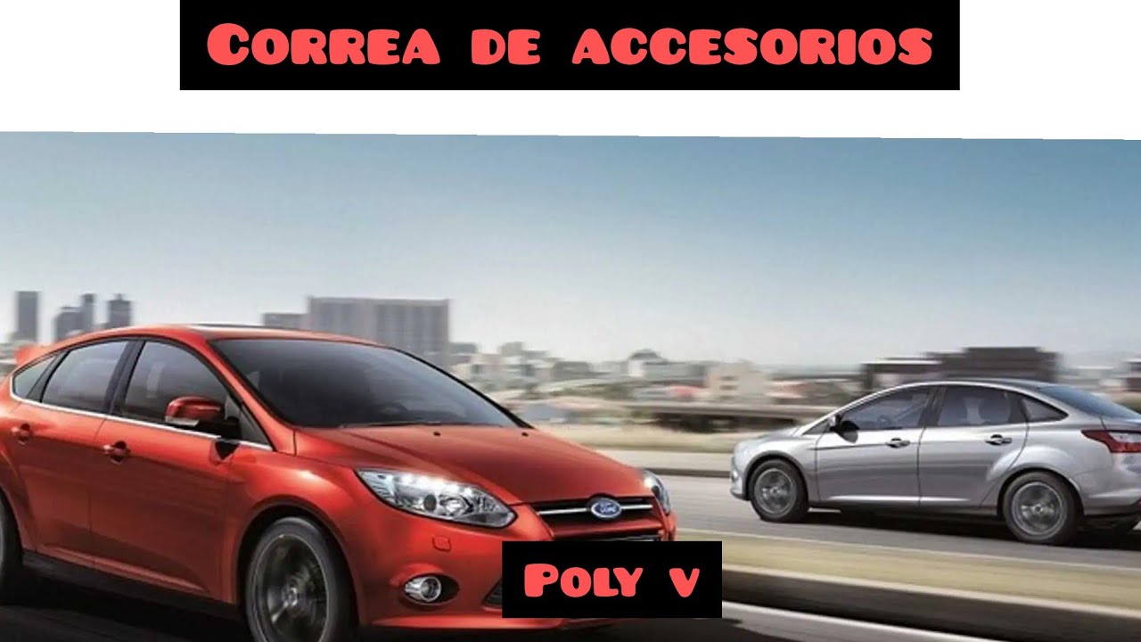 CAMBIO DE CORREA DE ACCESORIOS FORD FOCUS 3 #ford #fordfocus #fomoco  #correadeaccesorios #tensor 