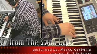 'Scene' from The Swan Lake - perf. by Marco Cerbella - Tchaikovsky (Electone, ELS-02X) chords