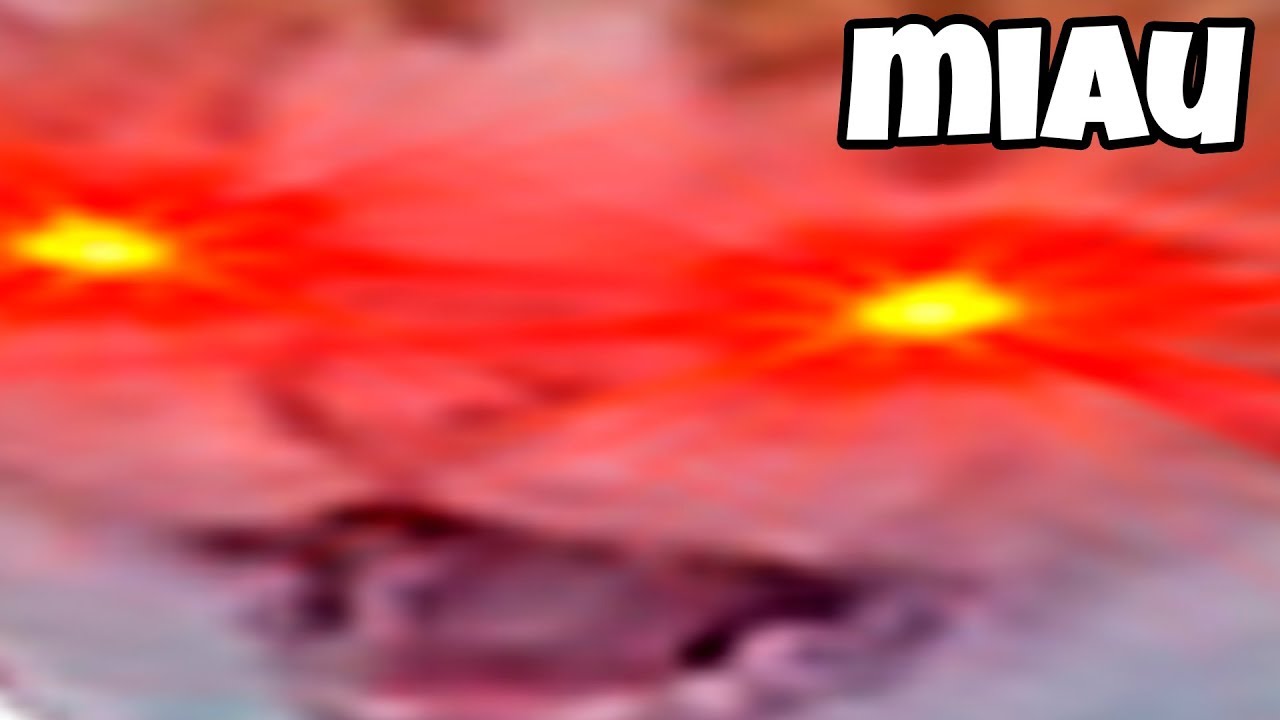 CAINE SAU PISICA? - CARE MI SE PARE MAI FAIN?