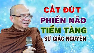 Cắt Đứt Phiền Não Tiềm Tàng | Sư Giác Nguyên | Sư Toại Khanh