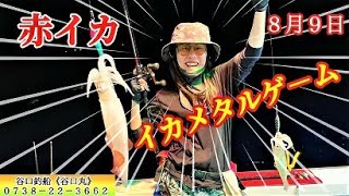 ８月９日赤イカ・イカメタルゲーム　谷口釣船《谷口丸》