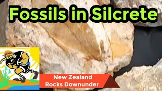 landslip Silcrete Fossils