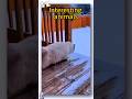 Interesting animals #foryou  #funny #funnyvideos