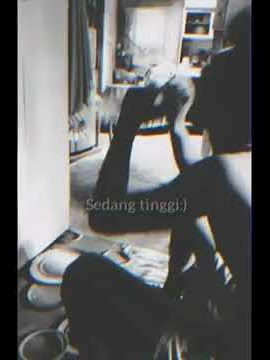 lagi tinggi..story wa.mu