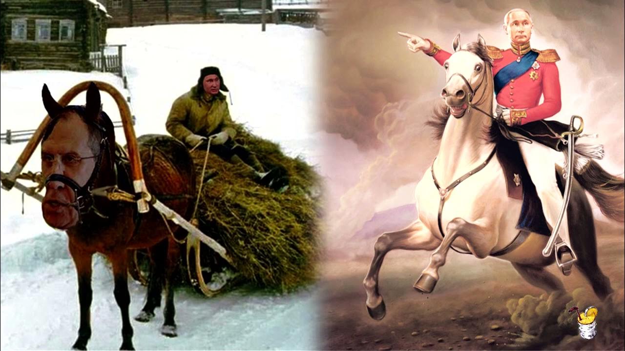 Прогулка на лошадях. Хорс райдинг. Наездник жокей всадник. Въехать на коне. Заездка лошади падение.