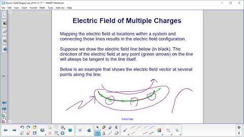 Lab PSS Electric Field Shapes Lab Elec Field Multiple Charges