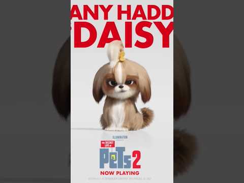 Hello Daisy #thesecretlifeofpets2 #shorts