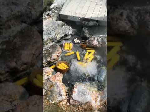 يطبخون على الماء المغلي السعودية ترند الاردن اكسبلور طبخ ذره بيض كاليفورنيا