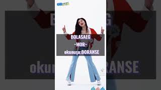 Korece Renkler Ve Okunusları