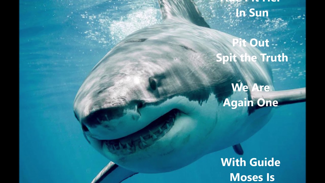 Gawdar - Ou Dans Ma Maison