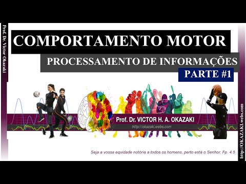 Vídeo: Quem propôs a teoria do processamento da informação?