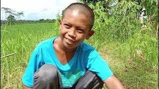 MENANAM POHON |Film pendek ngapak peci hitam #filmpendek #video #haripancasila