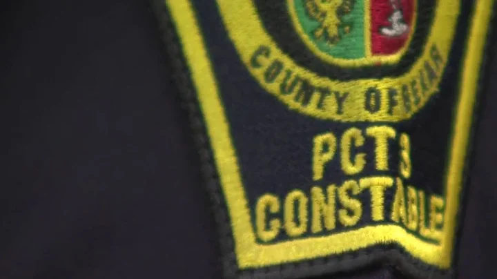 What do Bexar constables do?