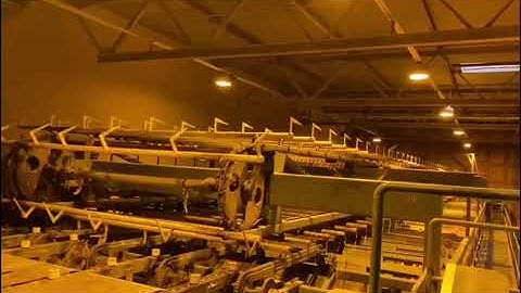 Board sorting line for dry wood 25 pockets