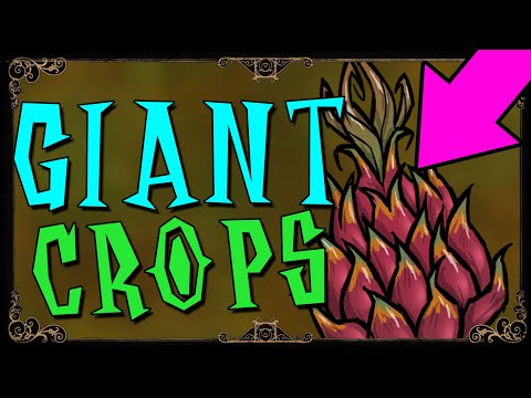 HOW TO GROW