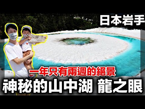 【岩手山中湖】一年只有兩週的神秘龍之眼｜超美藍色沼澤｜日本東北自駕自由行