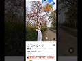 Instagram trending video funny 😂🤣