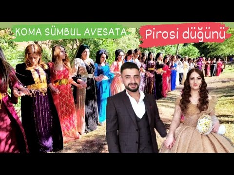 #beytüşşebap Melese  koma sümbül Avesta Ercan yiğit in düğünü #kurdis #wedding