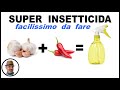 Aglio e peperoncino super insetticida     