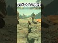 岩オクタに錆びた剣を投げるとまさかの結果に!!!【ゼルダの伝説 ブレス オブ ザ ワイルド】【初心者と行く小ネタ】