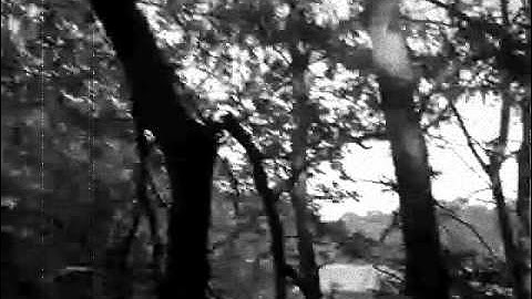 Dreams (Static Motion by Kevin MacLeod)