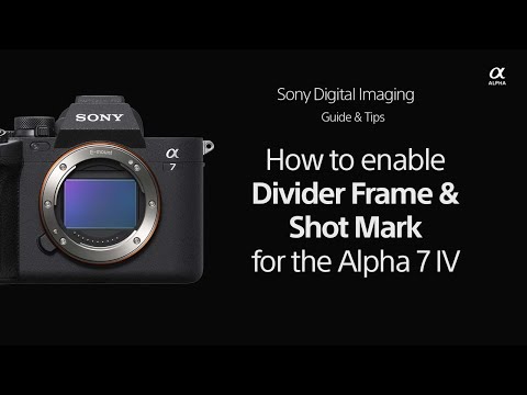 SONY α7Ⅳ Dodd Camera - SONY Alpha A7 IV Mirrorless Digital Camera