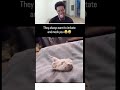 This is hilarious