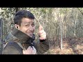 CACCIA al CINGHIALE con BARBARA & RENZO CERQUETELLI _ NEW SEGUGIO EUROPA | WILD BOAR HUNTING