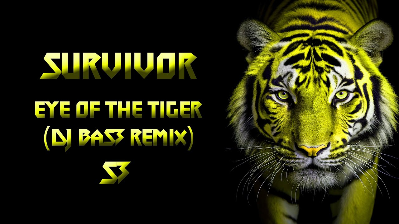 Survivor - Eye Of The Tiger (DJ BaS3 Remix)