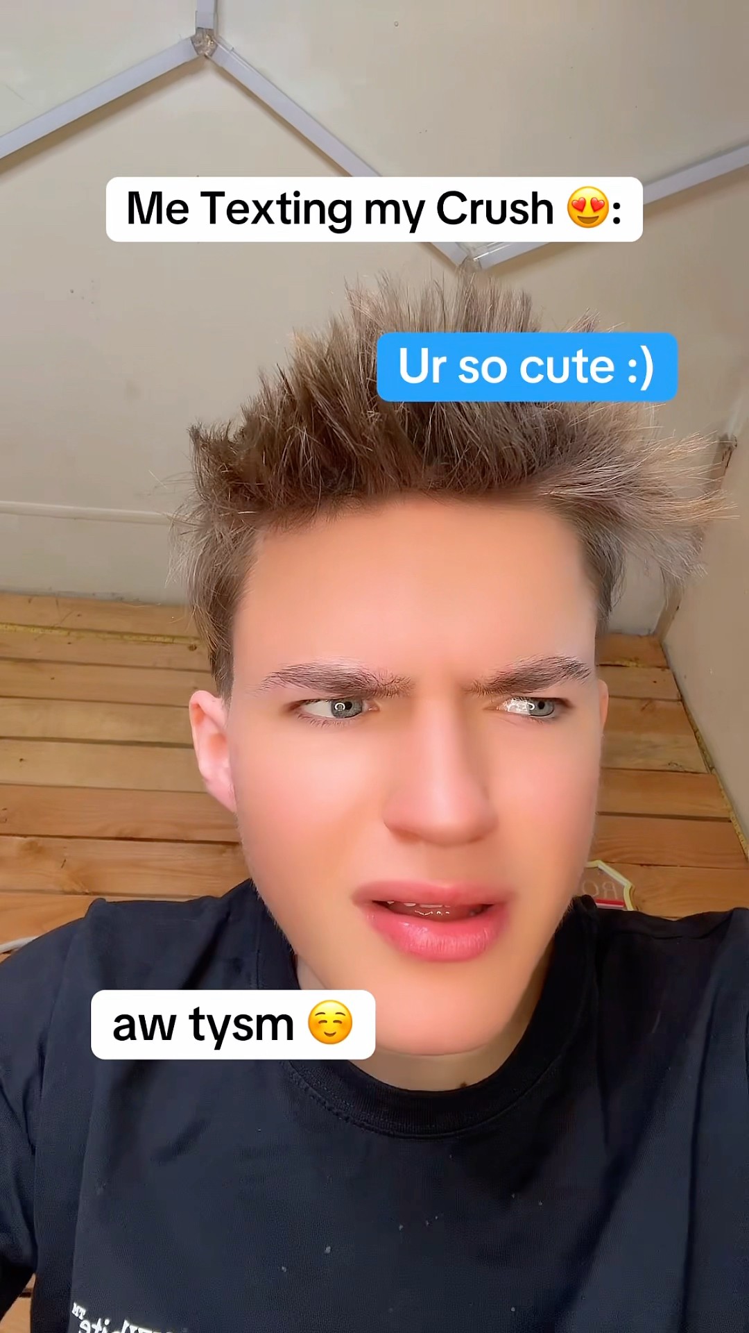Texting my Crush ?.