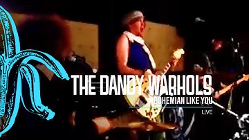 The Dandy Warhols - Bohemian Like You (Live at Death Disco Xtra)