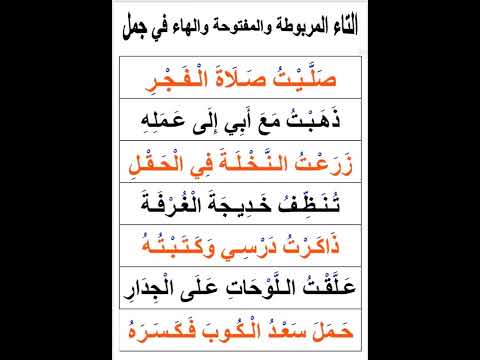 التاء المفتوحه والمربوطه والهاء في جمل