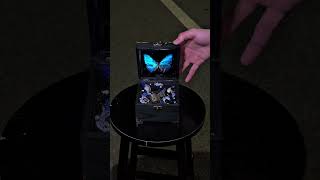 Dreamy Stars &amp; Music Box Magic: Blue Flash Butterfly Original Design