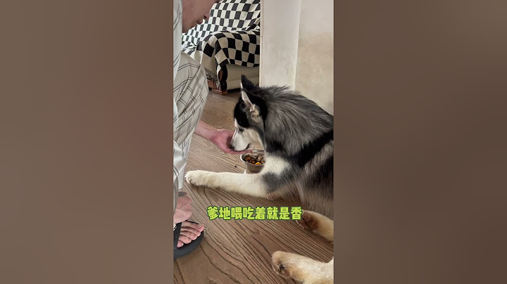 不拆：什么都阻挡不了 俺对爹地的爱  Nothing can stop me right #Youtube #Taiwan #China #shorts #quickbites