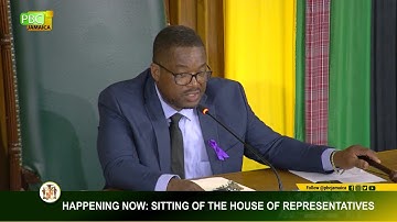 JISTV |Sitting of the House of Representatives -Nov 25, 2025