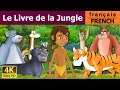 Le Livre de la Jungle | Histoire Pour S'endormir | Histoire Pour Les Petit | Contes De Fées Français