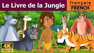 Le Livre de la Jungle | Jungle Book in French | Histoire Pour Les Petit | Contes De Fées Français