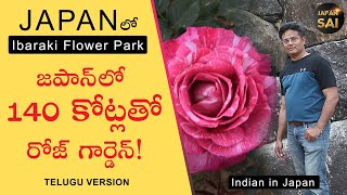 Rose Garden - INR 140 cr  Telugu Version| Telugu Vlog| One day Picnic from Tokyo| Japan Indians|