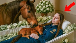 Mustang Horse Exposes Funeral Secret – What Happens to the Bitter Villagers Next?
