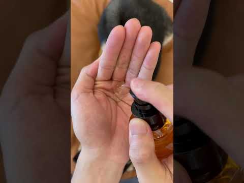 曼玉Manyu清洁时间2.0 | 沉浸式小狗全身Spa（带好耳机）
