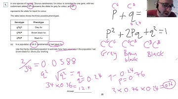 Het Hardy Weinberg-principe A-niveau Biologie AQA