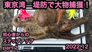 タコ釣り　東京湾堤防　大物タコに逃げられた❗️どうする❓初心者からのステップアップpart 2 タコの釣り方　木更津沖堤防　タコゆらハンター🐙
