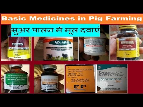 Basic Medicines in Pig Farming
