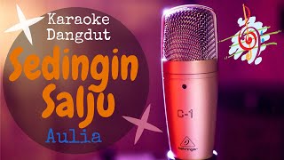 Sedingin Salju - Aulia Academy (Karaoke Dangdut Lirik Tanpa Vocal)