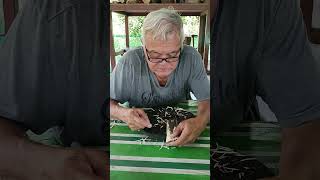 PM Gaharu...the art of (fine)agarwood carving. DIY with patience & passion. Sharing means caring.