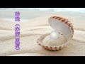 珍珠 亦舒 原著 珍珠 亦舒 原著